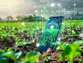 AI in Agriculture