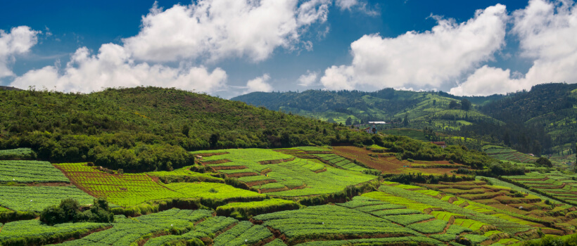 Practicing Climate-Smart Agriculture.