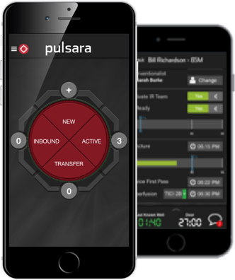 Pulsara-Portfolio